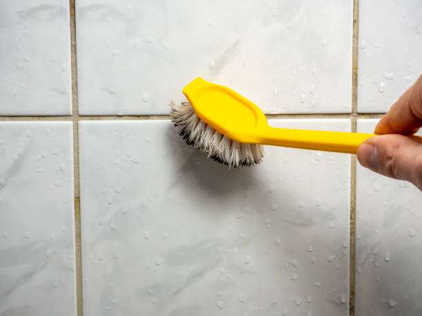 Best Local Mold Removal Service  in Covington, OH